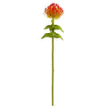 24" Pincushion Artificial Flower (Set of 6)