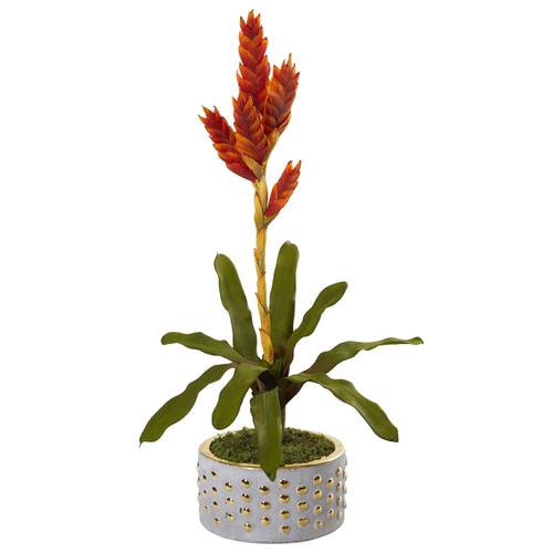 24" Tropical Bromeliad Artificial Plant in Bowl with Gold Trimming