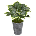 24" Variegated Hosta Artificial Plant in Tin Planter