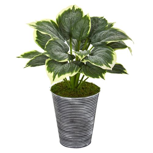 24" Variegated Hosta Artificial Plant in Tin Planter