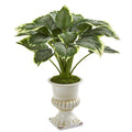 24" Variegated Hosta Artificial Plant in White Urn