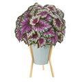 24" Wax Begonia Artificial Plant in Green Planter with Stand