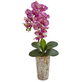 25" Phalaenopsis Orchid Artificial Arrangement in Weathered Oak Vase
