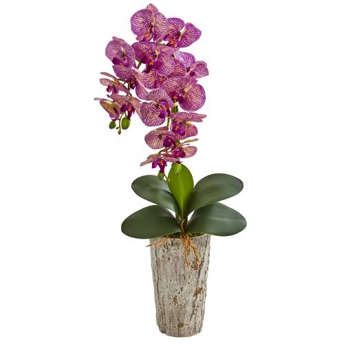 25" Phalaenopsis Orchid Artificial Arrangement in Weathered Oak Vase