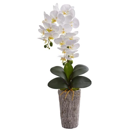 25" Phalaenopsis Orchid Artificial Arrangement in Weathered Oak Vase