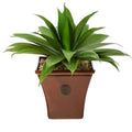 26" Agave Succulent Artificial Plant in Brown Planter