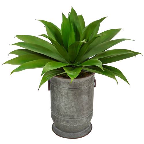 26" Agave Succulent Artificial Plant in Vintage Metal Planter
