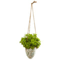 26" Basil Artificial Plant in Hanging Vase