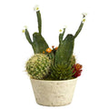26" Cactus Garden Artificial Plant in White Planter