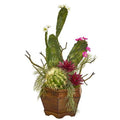 26" Mixed Cactus Artificial Plant in Decorative Planter