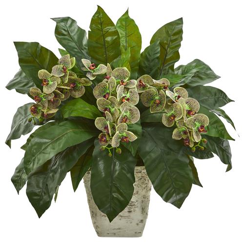26" Phalaenopsis Orchid and Bird’s Nest Fern Artificial Plant in Country White Planter