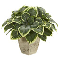 26" Variegated Hosta Artificial Plant in Country White Planter