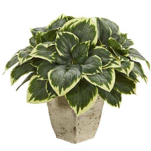 26" Variegated Hosta Artificial Plant in Country White Planter