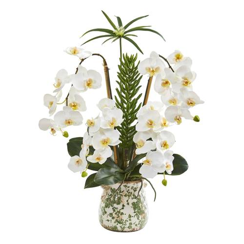 27" Phalaenopsis Orchid and Succulent Artificial Arrangement in Floral Vase