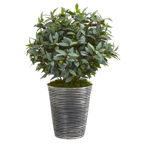28" Olive with Berries Artificial Plant in Tin Planter with Black Pattern