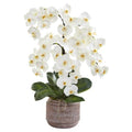 28" Phalaenopsis Orchid Artificial Arrangement in Stoneware Vase