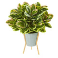 28" Rubber Leaf Artificial Plant in Green Planter with Stand (Real Touch)
