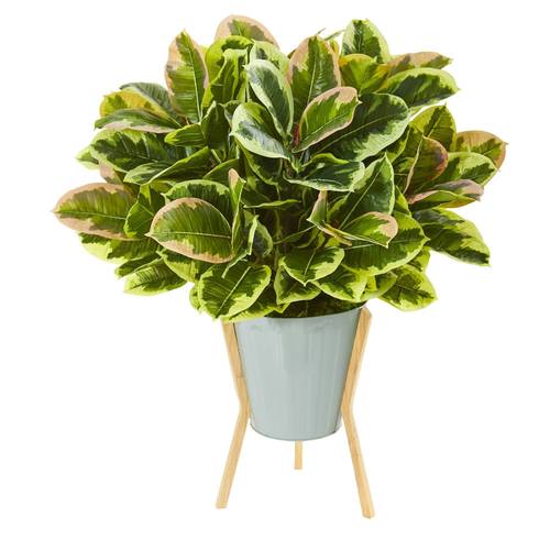 28" Rubber Leaf Artificial Plant in Green Planter with Stand (Real Touch)