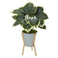 28" Variegated Hosta Artificial Plant in Green Planter with Stand