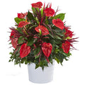 29" Mixed Anthurium Artificial Plant in White Tin Planter