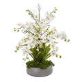 3'Phalaenopsis Orchid and Agave Artificial Arrangement in Gray Vase