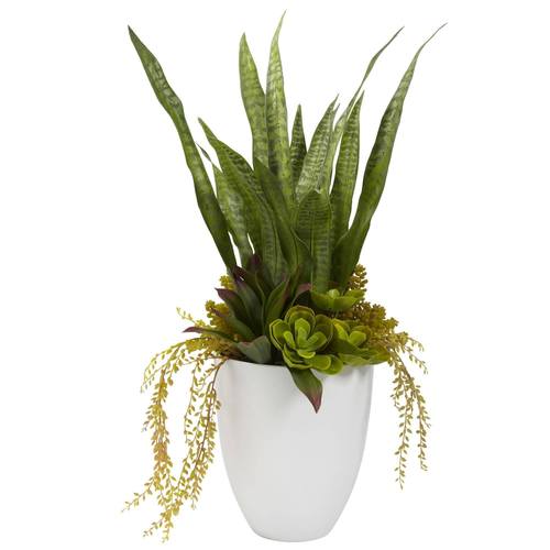 30" Mixed Succulent w/White Planter