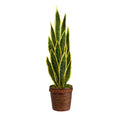 34" Sansevieria Artificial Plant in Basket