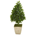 34" Sweet Bay Cone Topiary Artificial Tree in Country White Planter