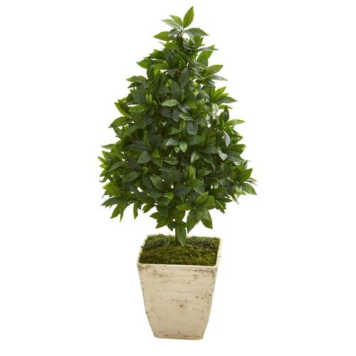 34" Sweet Bay Cone Topiary Artificial Tree in Country White Planter