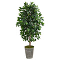 3.5'Ficus Artificial Tree in Decorative Tin Planter