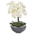 35" Phalaenopsis Orchid Artificial Arrangement in Large Cement Bowl