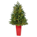 3.5'Washington Fir Artificial Christmas Tree with 50 Clear Lights in Tower Planter