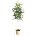 3.5' Winniepeg Artificial Pine Tree in Decorative Planter