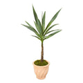 35" Yucca Artificial Plant in Terra-Cotta Planter