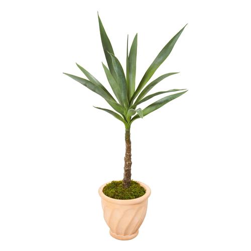 35" Yucca Artificial Plant in Terra-Cotta Planter