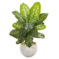 37" Dieffenbachia Artificial Plant in Bowl Planter (Real Touch)