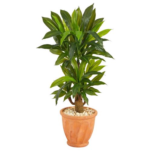 38" Corn Stalk Dracaena Artificial Plant in Terra-Cotta Planter (Real Touch)