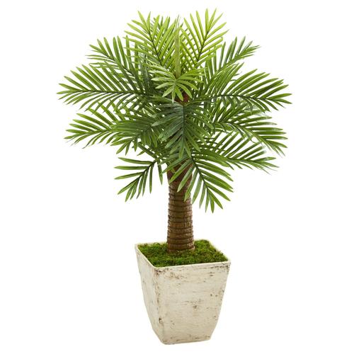 38" Robellini Palm Artificial Tree in Country White Planter
