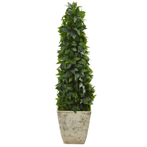 38" Sweet Bay Cone Topiary Artificial Tree in Country White Planter
