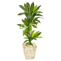39" Dracaena Artificial Plant in Country White Planter (Real Touch)