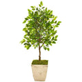 39" Ficus Artificial Tree in Country White Planter
