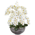 39" Phalaenopsis Orchid Artificial Arrangement in Large Cement Bowl