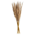 40" Dried Natural Pampass Grass Bundle (Set of 2)