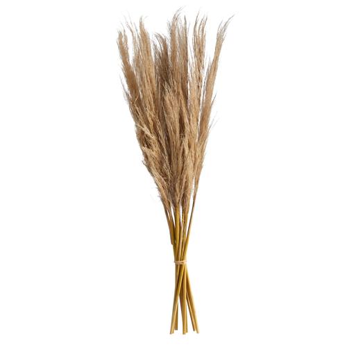 40" Dried Natural Pampass Grass Bundle (Set of 2)