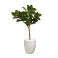 44" Magnolia Leaf Artificial Tree in White Planter