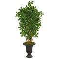 4.5'Black Olive Artificial Tree in Charcoal Urn