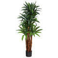 4.5'Dracaena Artificial Tree with Natural Trunk