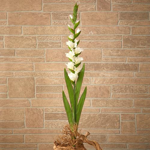 46" Gladiolus Artificial Flower (Set of 3)