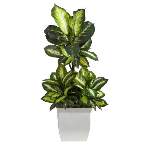 46" Golden Dieffenbachia Artificial Plant in White Metal Planter