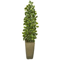 47" Variegated Holly Leaf Artificial Tree in Green Planter (Real Touch)